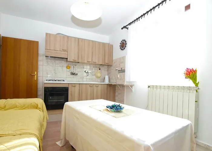 Apartment Boris 1965